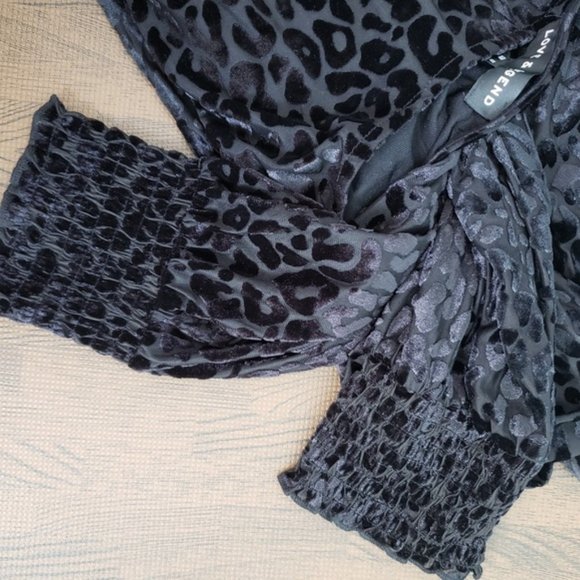 Love & Legend Sheer Animal Print Blouse - Picture 5 of 7